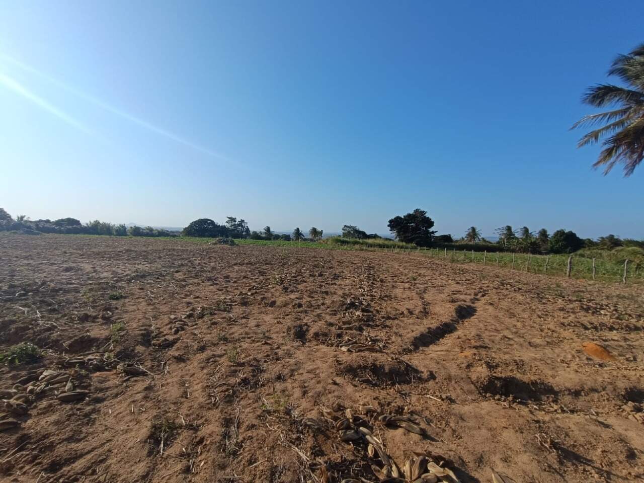 EXCELENTE SÍTIO A VENDA NO POVOADO SERRA EM ITABAIANA/SE