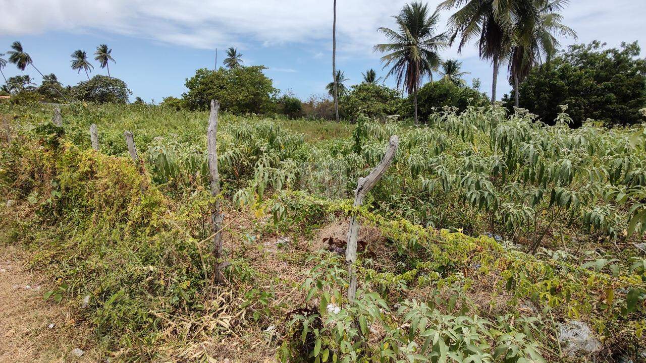Invista no Futuro: Ampla Área de 51.425,90m² no Mosqueiro, Aracaju! - Foto 4