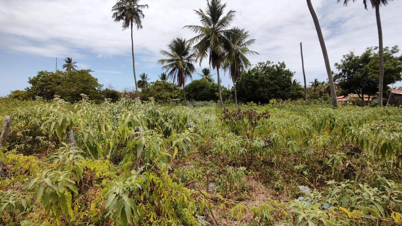 Invista no Futuro: Ampla Área de 51.425,90m² no Mosqueiro, Aracaju! - Foto 5