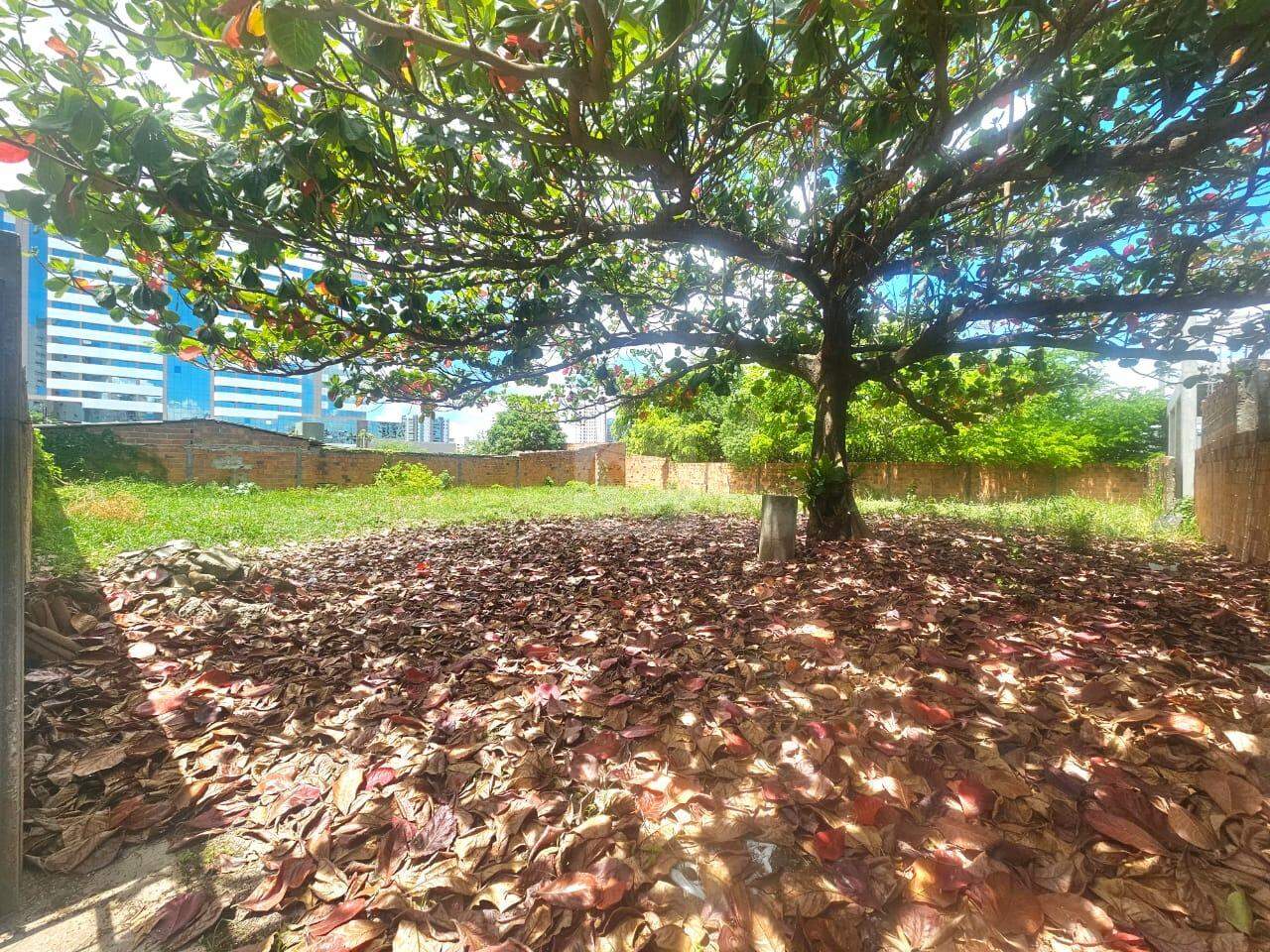 Terreno\Área à venda, Jardins - Aracaju/SE - Foto 3