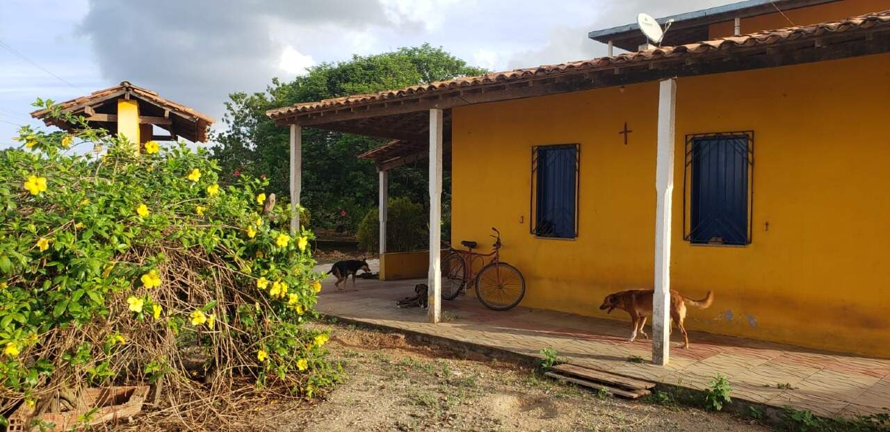 Sítio para Venda no Povoado Terra Dura - Foto 11