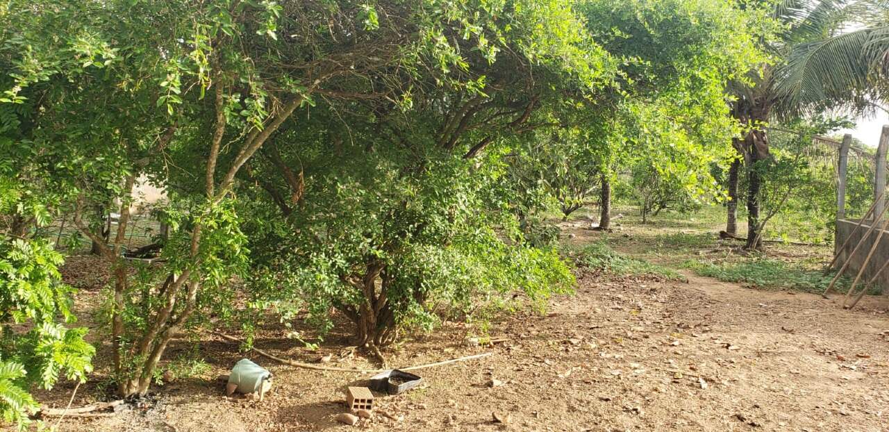 Sítio para Venda no Povoado Terra Dura - Foto 10