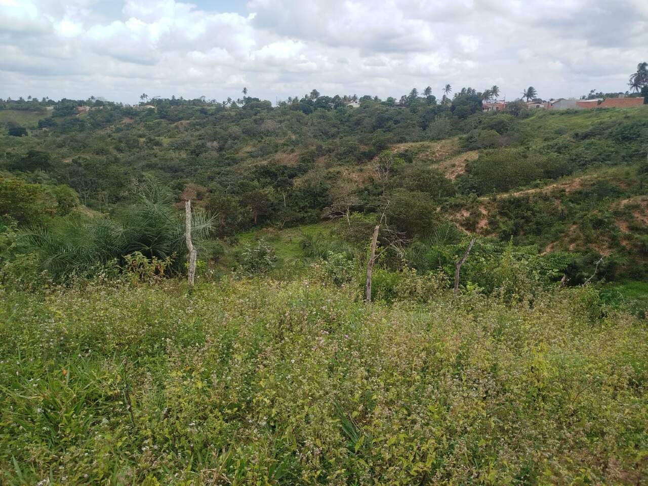 Confirmar preço (LOTE À VENDA – 8,4 HECTARES – POVOADO MULUNGU, SÃO DOMINGOS/SE)