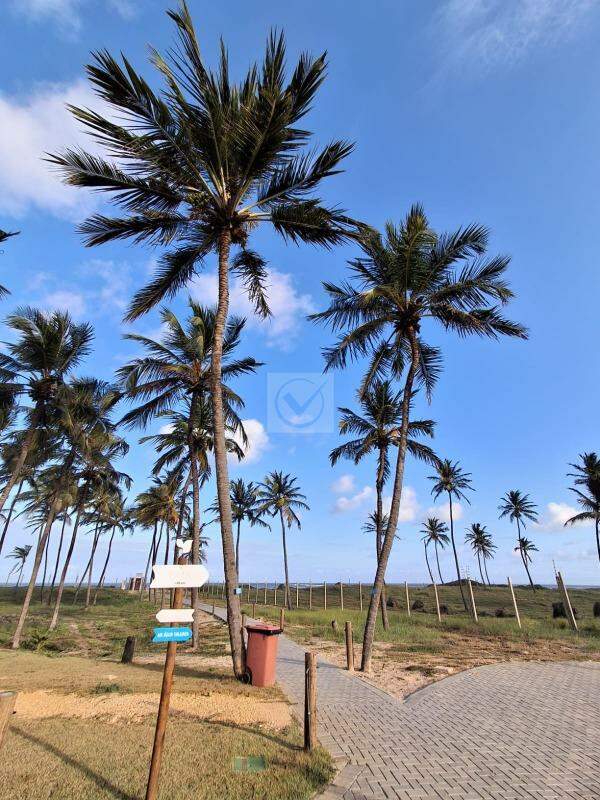 Oportunidade Única: Lote de Esquina com Posição Privilegiada no Villaredo Barra - Pé na Areia! - Foto 4