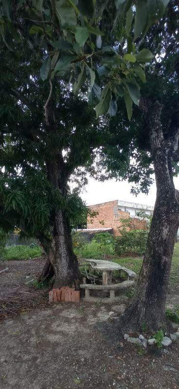 Lote à venda, Luis Alves - São Cristóvão/SE