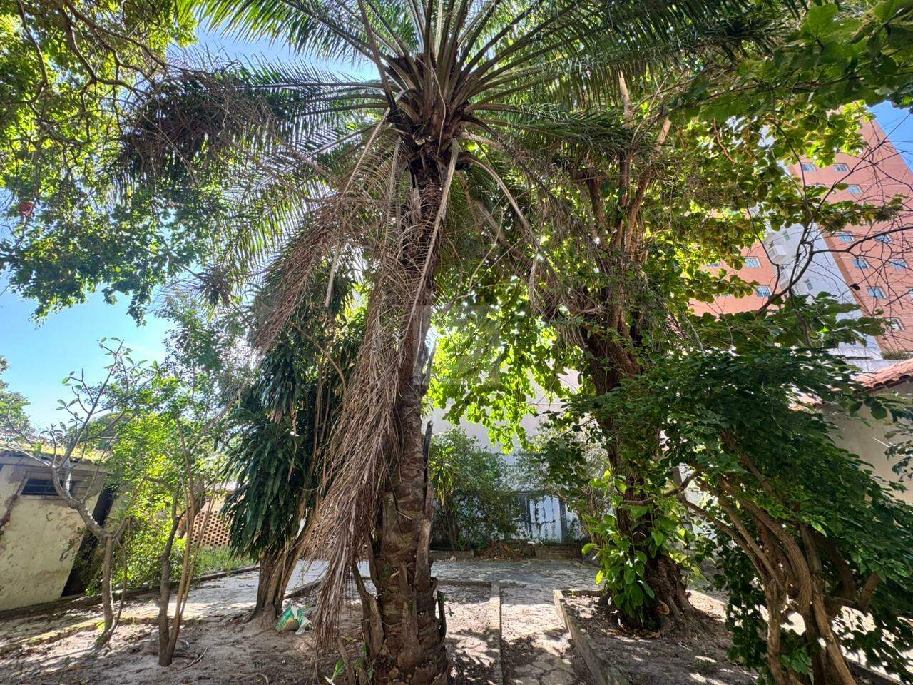 Imóvel Comercial para Locação – Rua Juarez Carvalho, nº 65, Jardins – Aracaju/SE - Foto 6