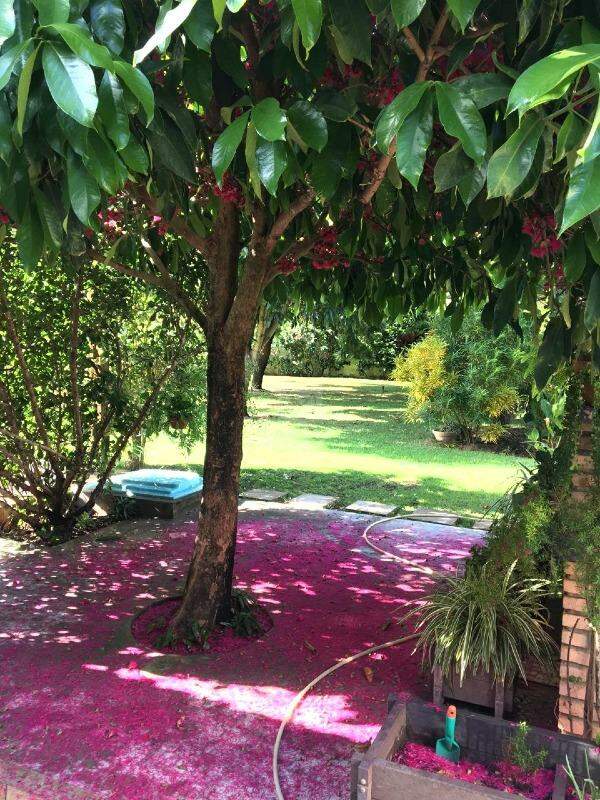 Aluguel | Casa em condominio, Aracaju - SE - Foto 10