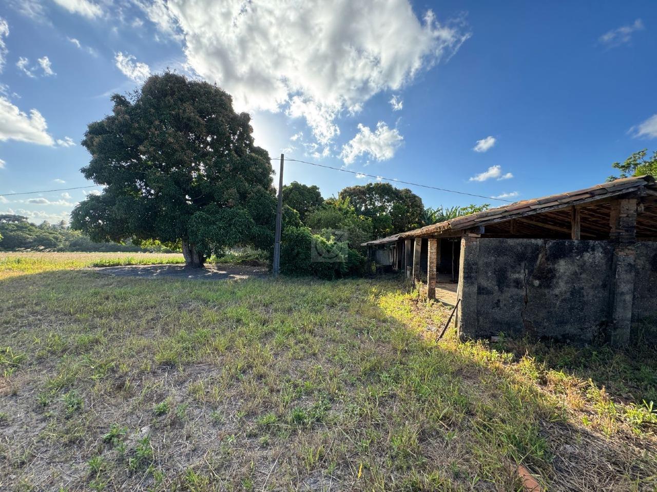 Chácara Espetacular no Povoado Canjinha – O Seu Refúgio de Paz em Areia Branca!