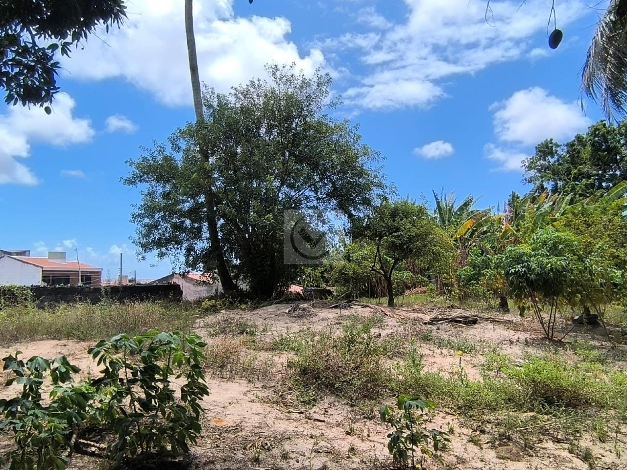 Oportunidade Única: Sítio de 9.000m² para Empreendimento Imobiliário! ???