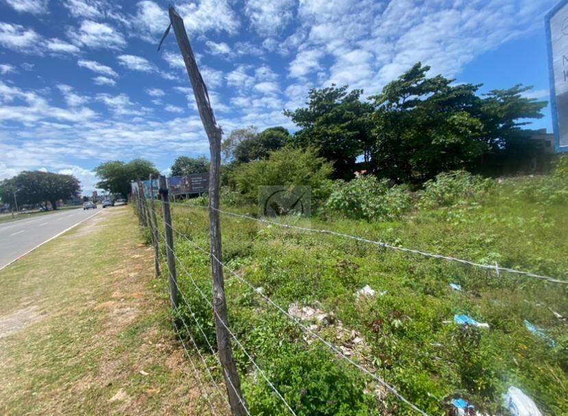 EXCELENTE TERRENO À VENDA