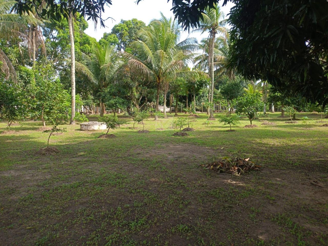 Sua Roça com Lazer Completo em Areia Branca! Chácara no Povoado Ponto Chic - Foto 7