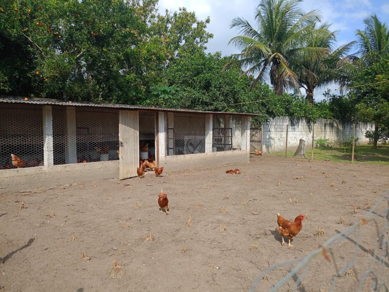 Sua Roça com Lazer Completo em Areia Branca! Chácara no Povoado Ponto Chic - Foto 18