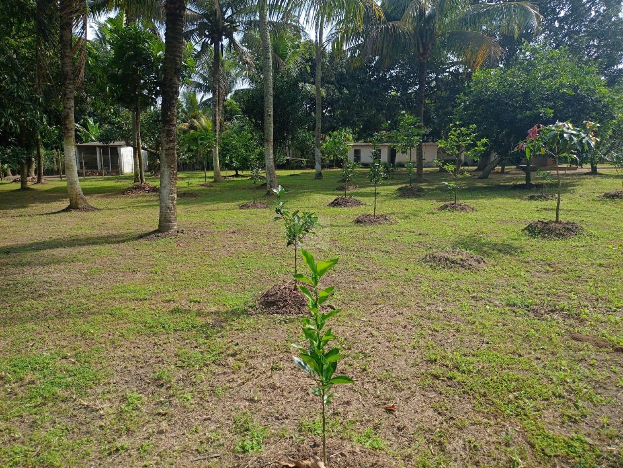 Sua Roça com Lazer Completo em Areia Branca! Chácara no Povoado Ponto Chic - Foto 6