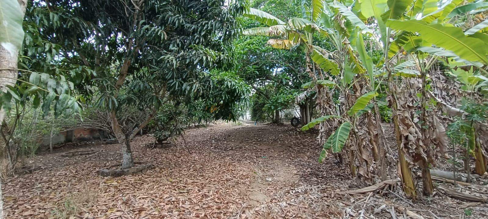 Espaço, Conforto e Natureza na Agrovila! Chácara Ampla com 3 Tarefas (Em construção) - Foto 6