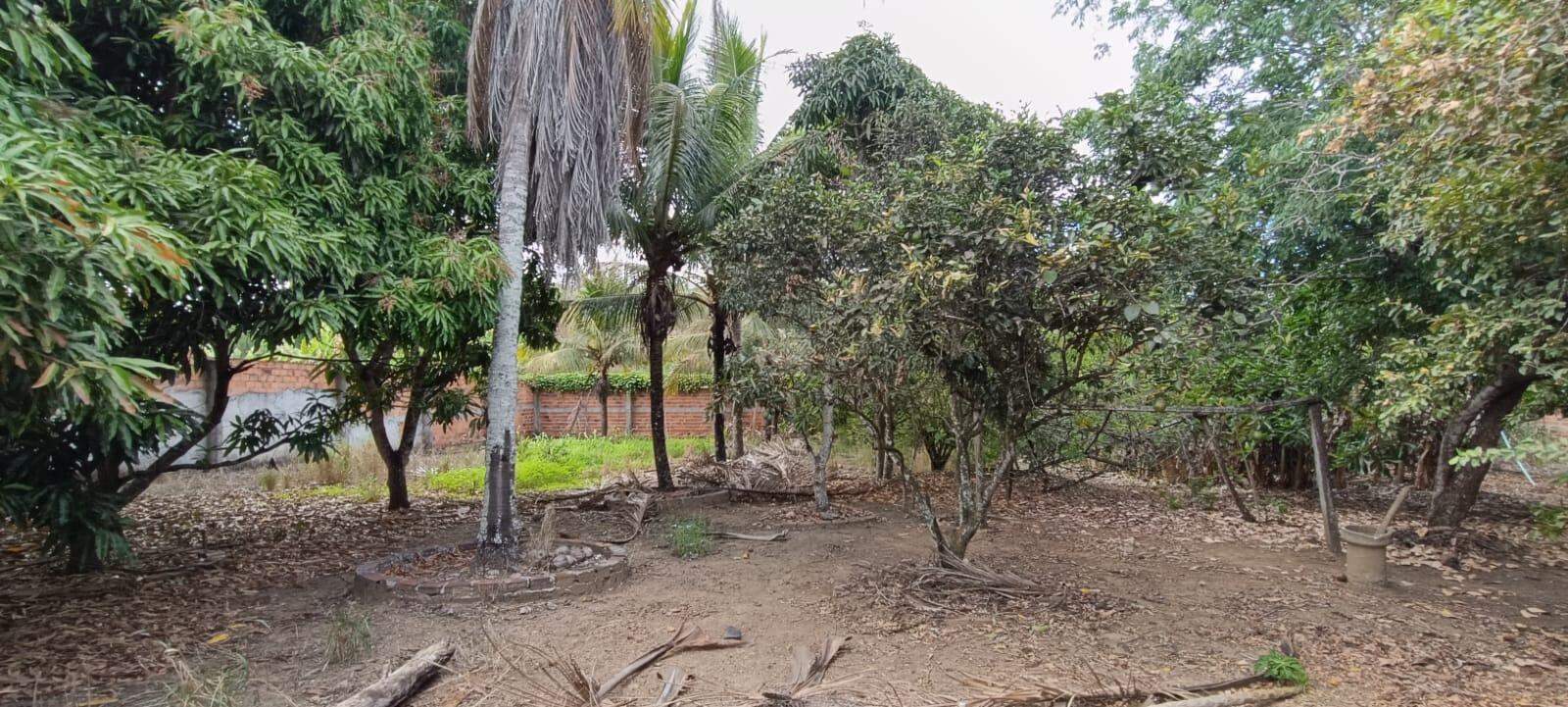 Espaço, Conforto e Natureza na Agrovila! Chácara Ampla com 3 Tarefas (Em construção) - Foto 7