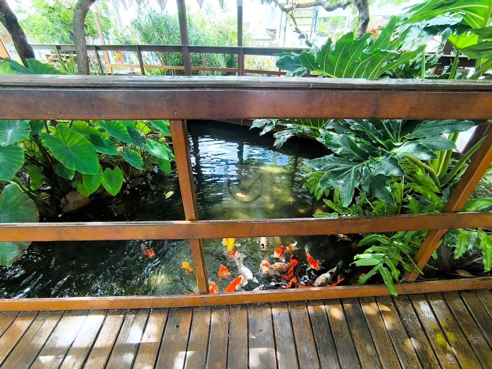 OPORTUNIDADE ÚNICA: Parque Aquático Completo na Lagoa dos Tambaquis à Venda! - Foto 10