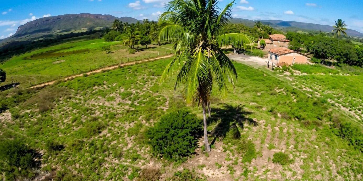 Amplo Espaço e Natureza! Excelente Lote de 3,5 Tarefas no Povoado Lagoa do Forno - Foto 4