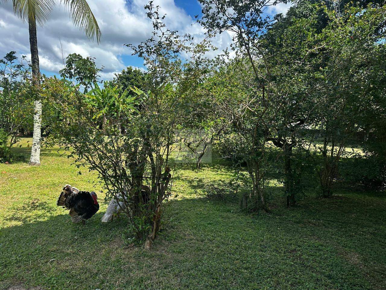 Chacara com Dois Pavimentos, Piscina e Área Gourmet - Foto 16