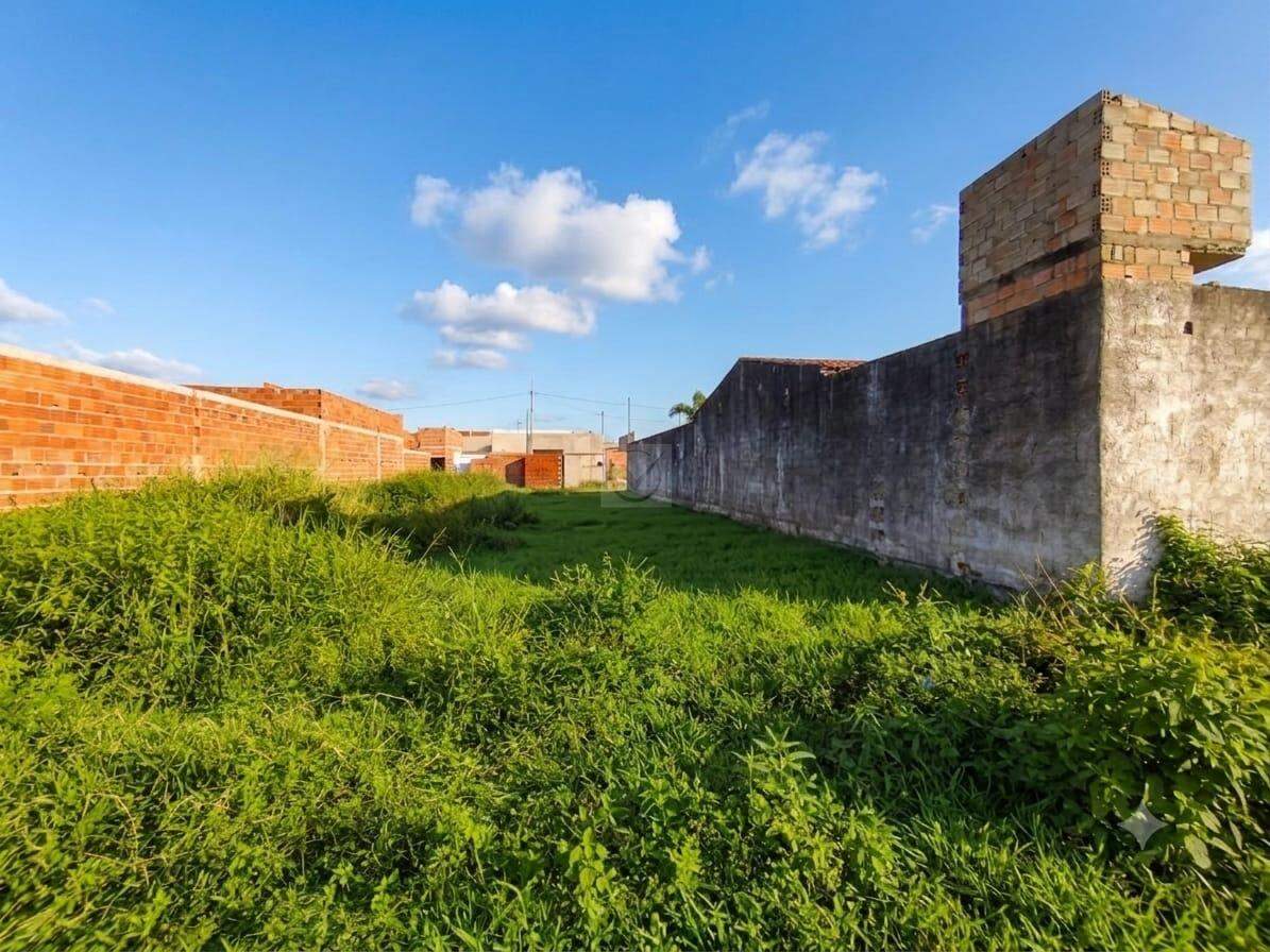 Espaço e Oportunidade no Miguel Teles de Mendonça! Excelente Lote de 6x29,78m - Foto 3