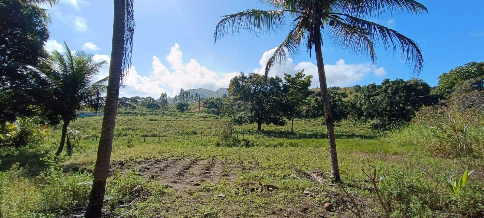 Espaço com Fartura e Conforto! Magnífica Propriedade de 10 Tarefas no Povoado Ribeira - Foto 10
