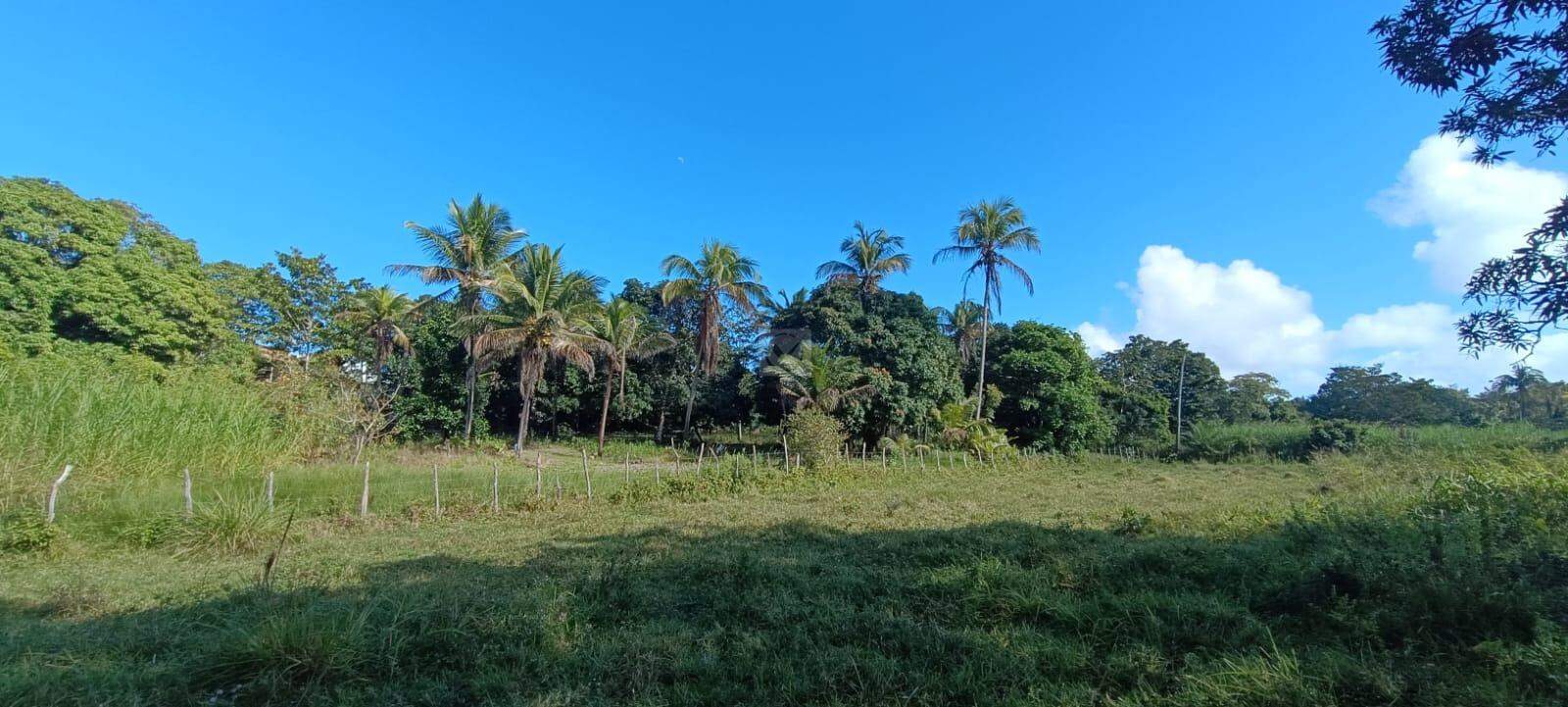 Espaço com Fartura e Conforto! Magnífica Propriedade de 10 Tarefas no Povoado Ribeira - Foto 13