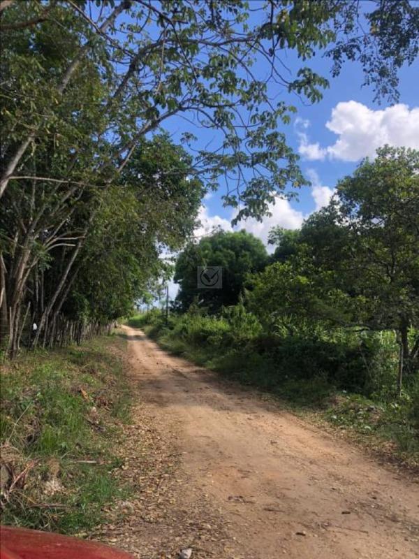 Terreno Rural / Sítio de 18.150 m² em Nossa Senhora do Socorro – SE - Foto 5