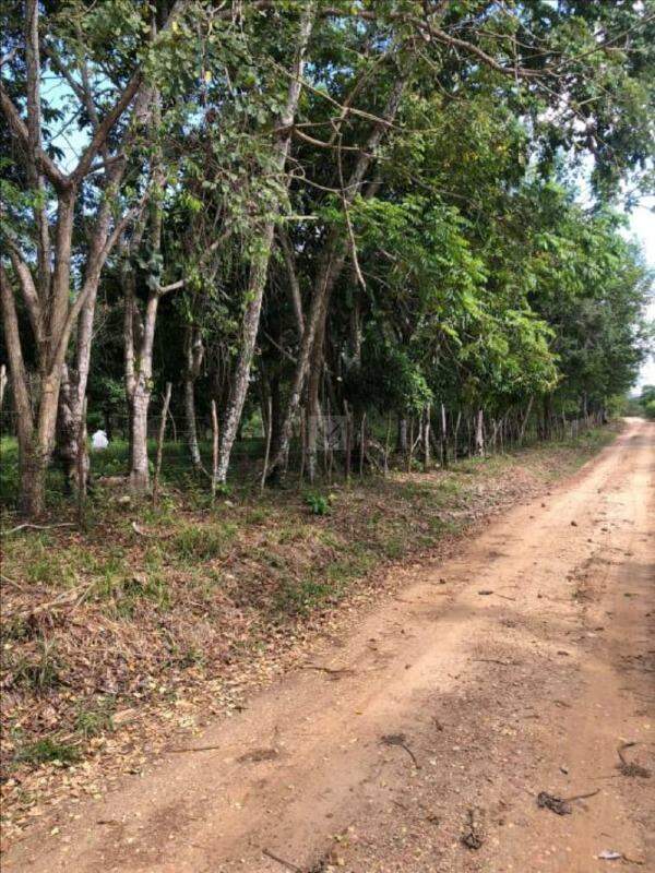 Terreno Rural / Sítio de 18.150 m² em Nossa Senhora do Socorro – SE