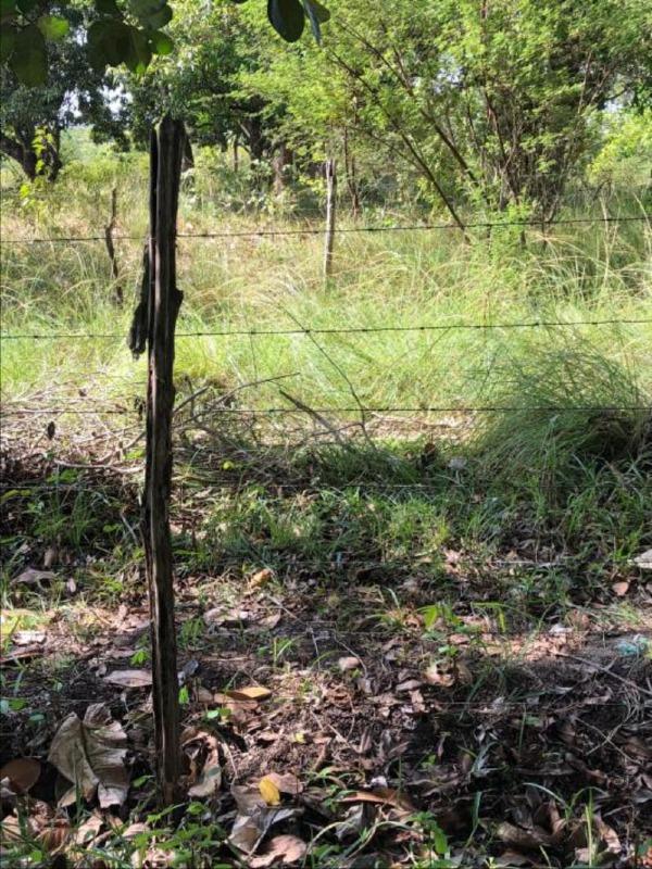 Terreno Rural / Sítio de 18.150 m² em Nossa Senhora do Socorro – SE - Foto 16
