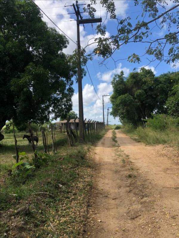Terreno Rural / Sítio de 18.150 m² em Nossa Senhora do Socorro – SE - Foto 4