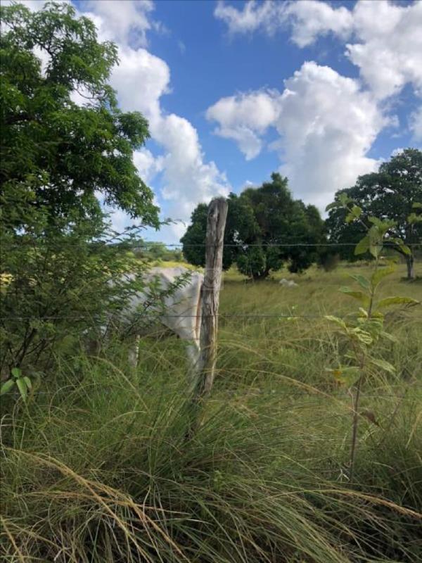Terreno Rural / Sítio de 18.150 m² em Nossa Senhora do Socorro – SE - Foto 10