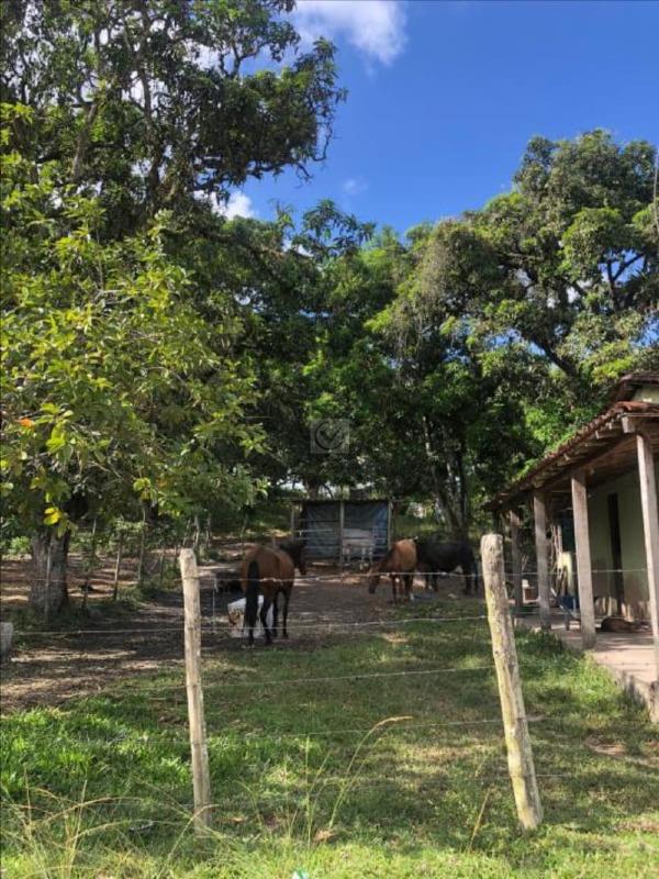 Terreno Rural / Sítio de 18.150 m² em Nossa Senhora do Socorro – SE - Foto 15