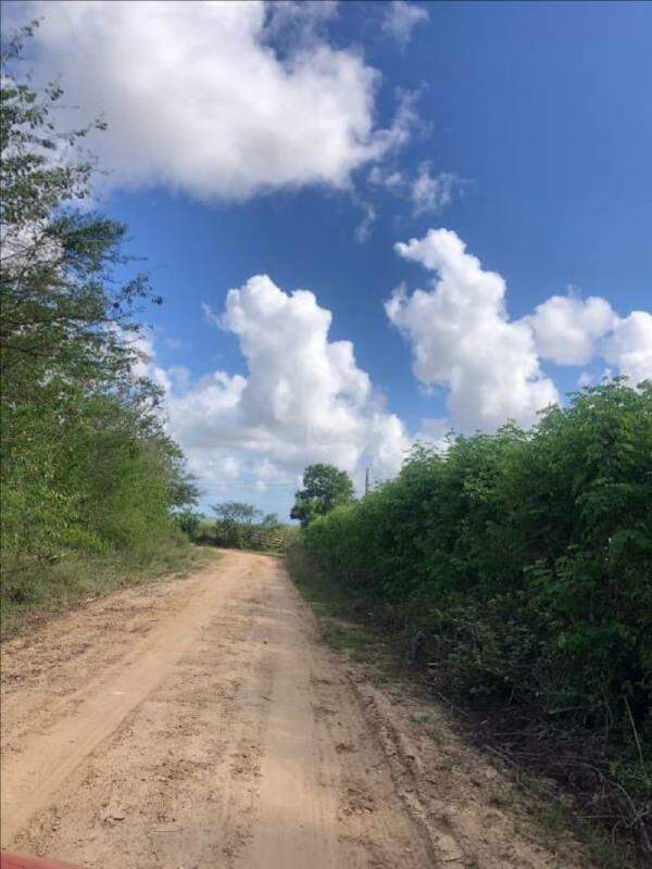 Terreno Rural / Sítio de 18.150 m² em Nossa Senhora do Socorro – SE - Foto 6