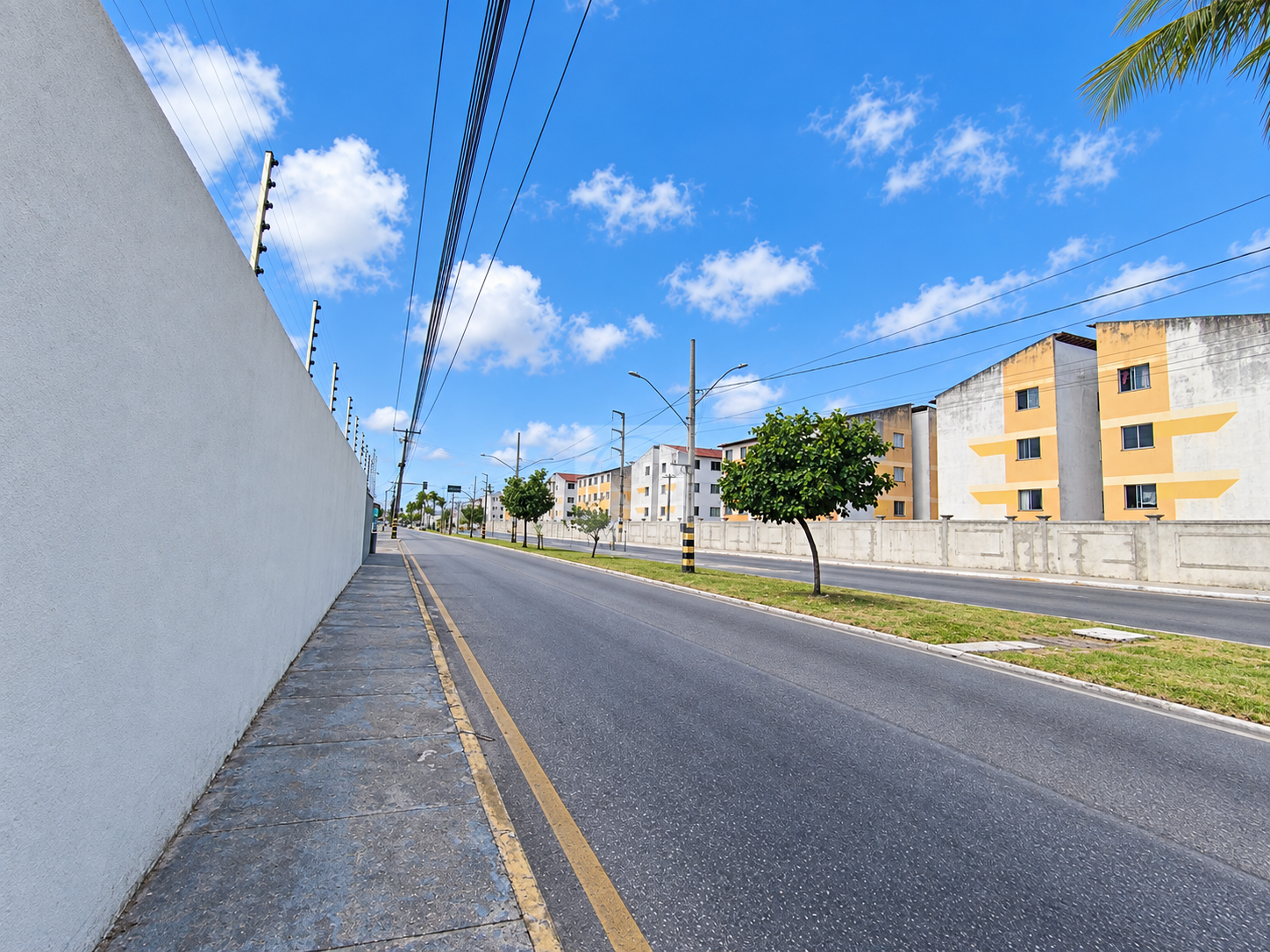 Terreno\Área para aluguel, São Conrado - Aracaju/SE - Foto 3