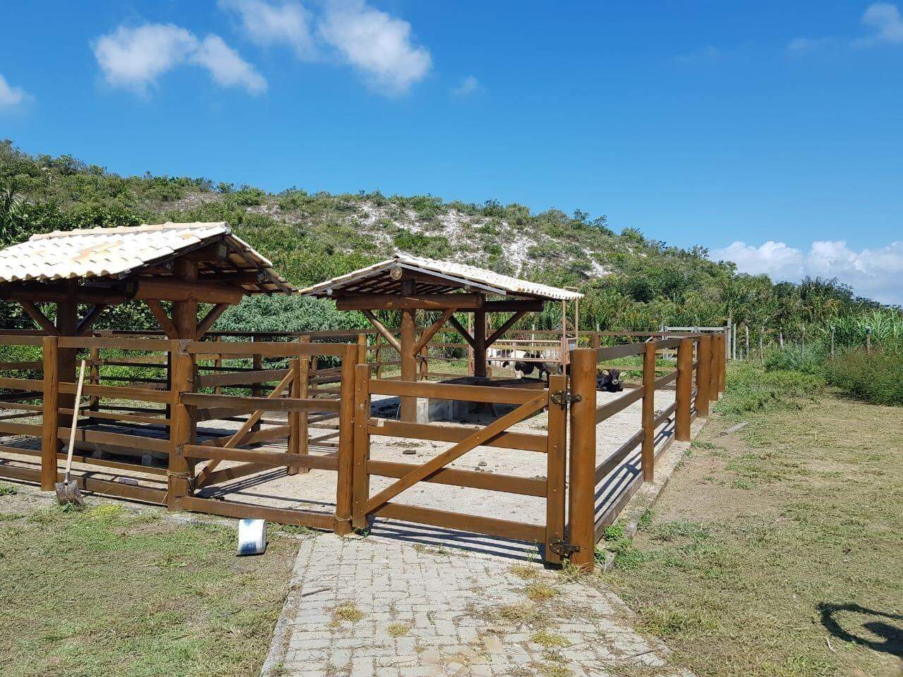 Lote à Venda no Condomínio Fazenda Real - Foto 6