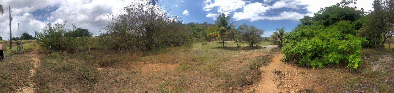 Terreno com 260.000m² no Distrito de Santa Isabel/Pirambu - Foto 3