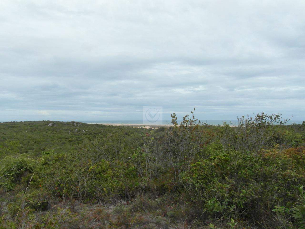 Terreno com 260.000m² no Distrito de Santa Isabel/Pirambu - Foto 11