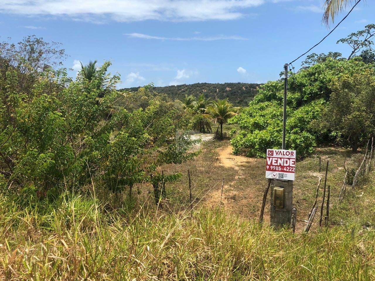 Terreno com 260.000m² no Distrito de Santa Isabel/Pirambu - Foto 2