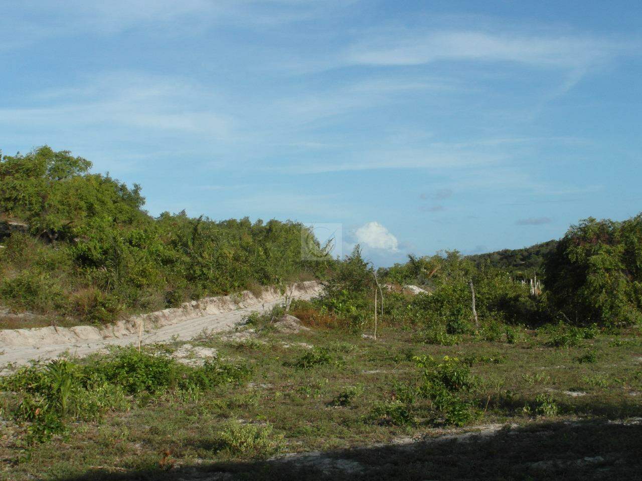 Terreno com 260.000m² no Distrito de Santa Isabel/Pirambu - Foto 9