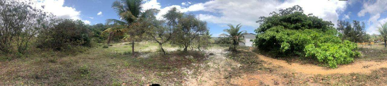 Terreno com 260.000m² no Distrito de Santa Isabel/Pirambu - Foto 4