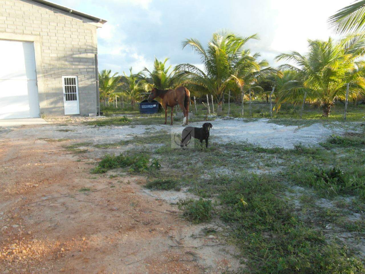 Terreno com 260.000m² no Distrito de Santa Isabel/Pirambu - Foto 7