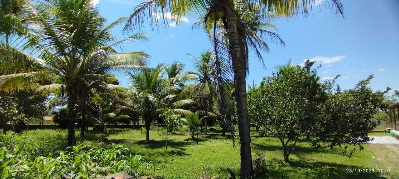 Chácara a venda proxímo a Itabaiana -SE - Foto 14