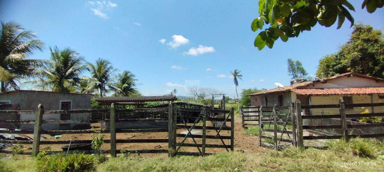 Chácara a venda proxímo a Itabaiana -SE - Foto 10