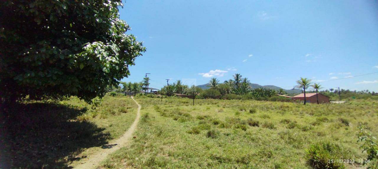 Chácara a venda proxímo a Itabaiana -SE - Foto 13