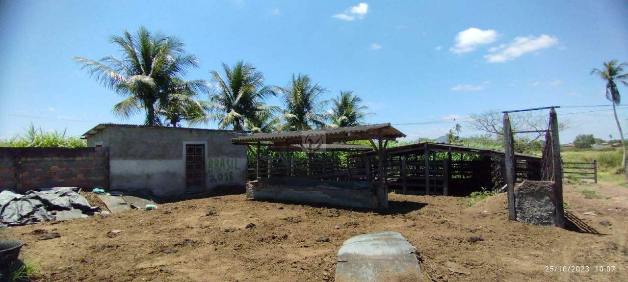 Chácara a venda proxímo a Itabaiana -SE - Foto 11