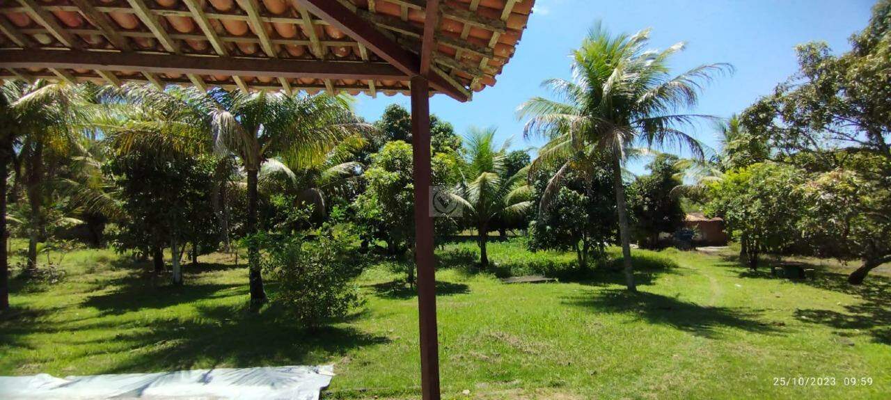 Chácara a venda proxímo a Itabaiana -SE - Foto 12