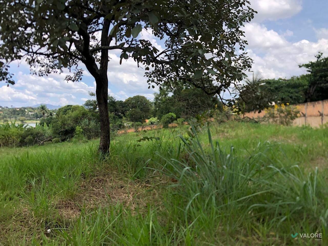 Lote Comercial à venda no Jardim Atlântico: 