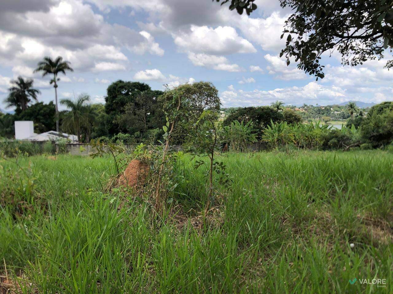 Lote Comercial à venda no Jardim Atlântico: 