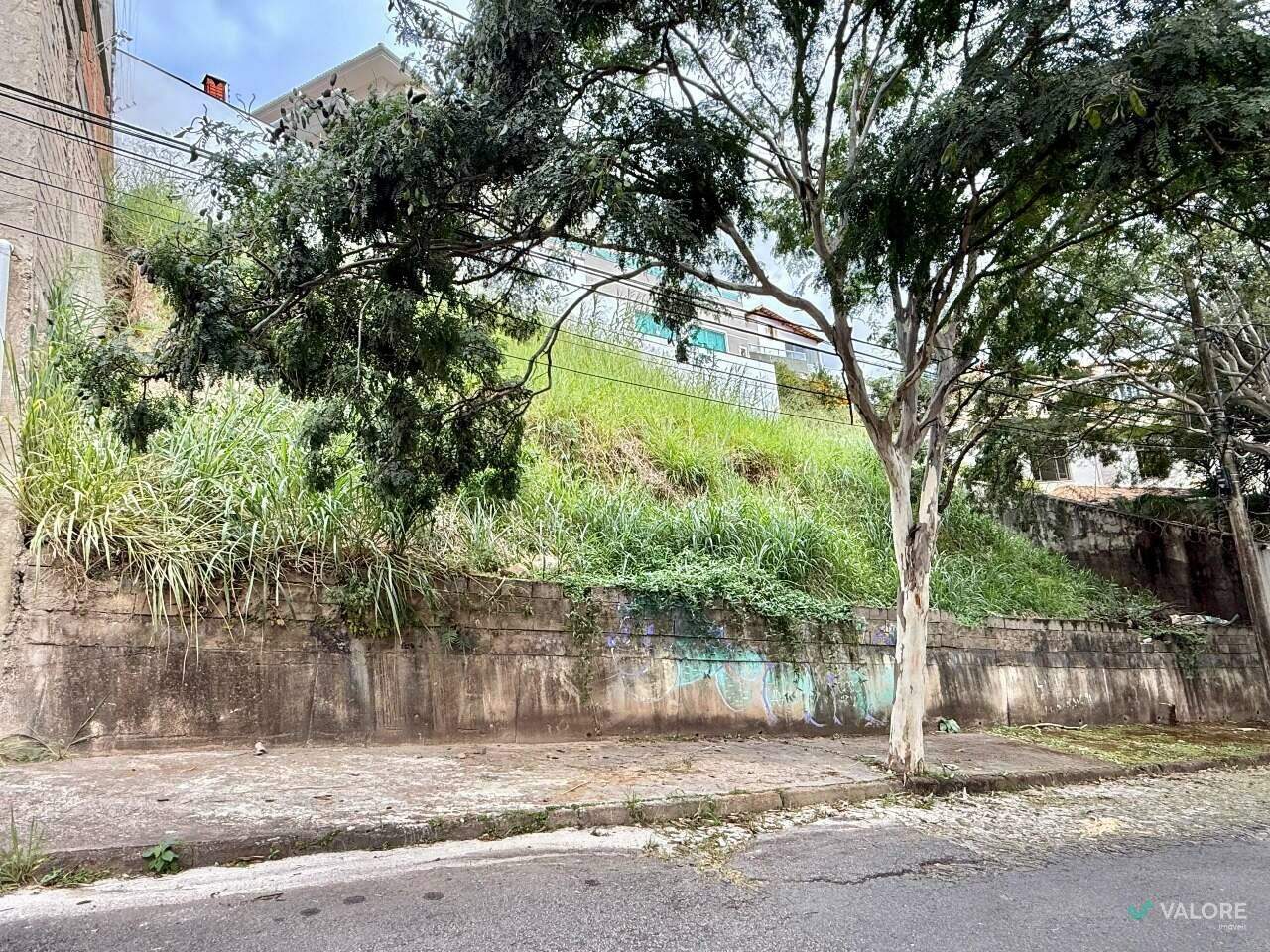 Lote à venda no Comiteco: 