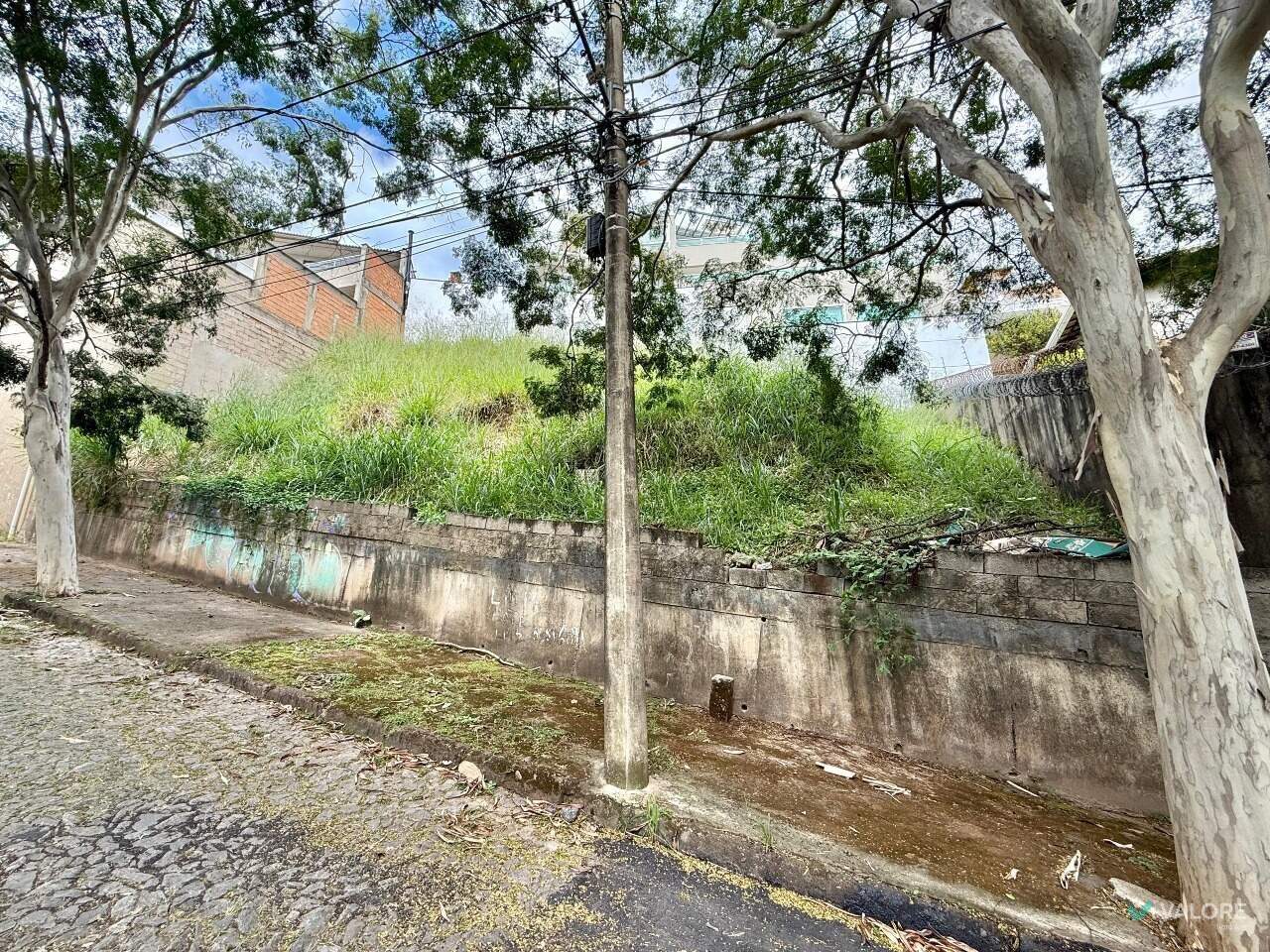 Lote à venda no Comiteco: 