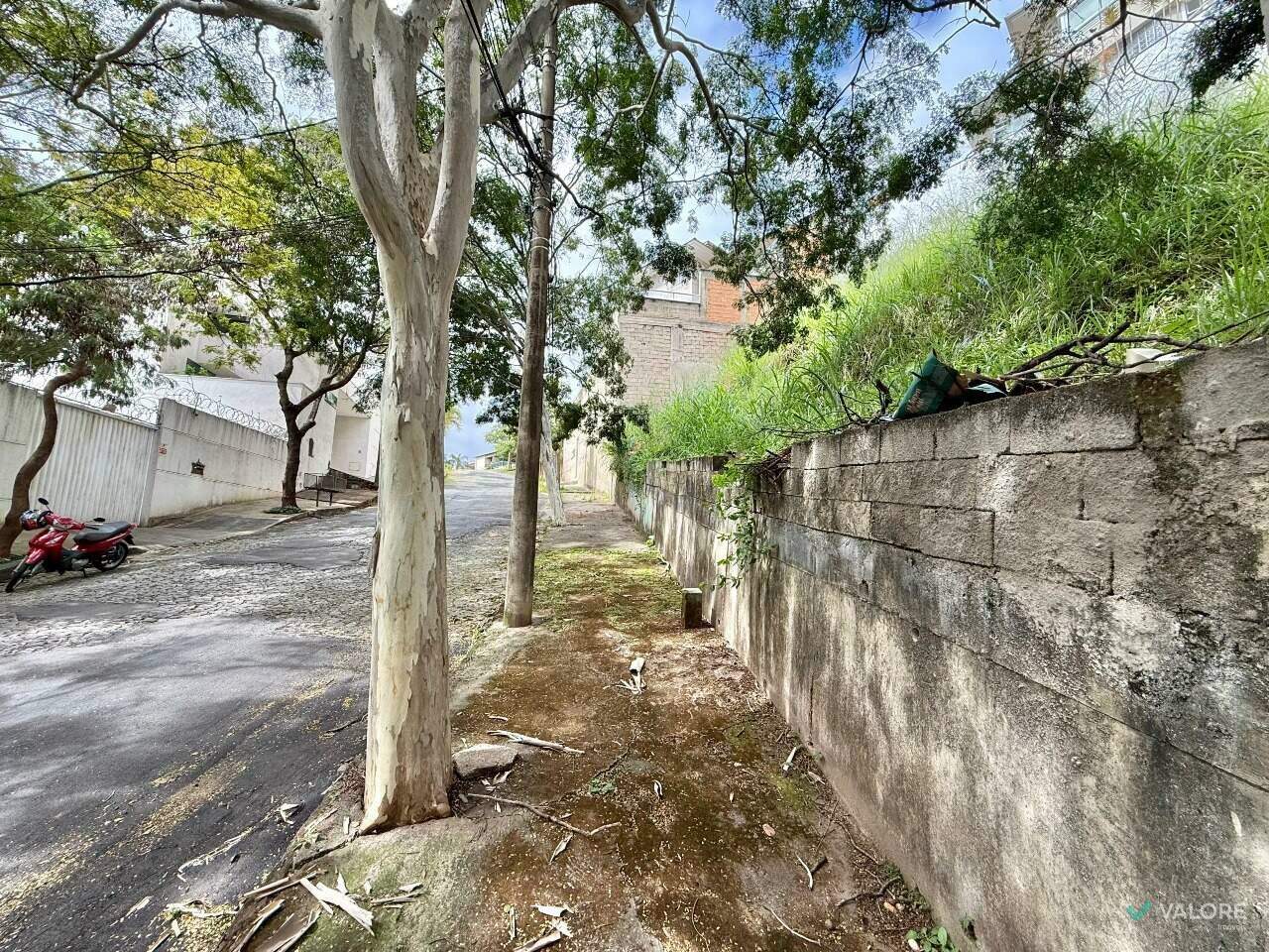 Lote à venda no Comiteco: 